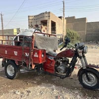 ستوته • دايوان • أوراق كاملة
