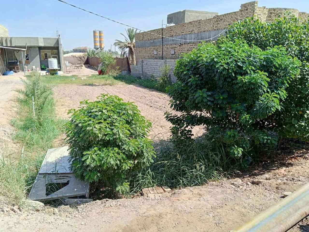 مزرعة • ٨٢٠م • شارع١٠٠