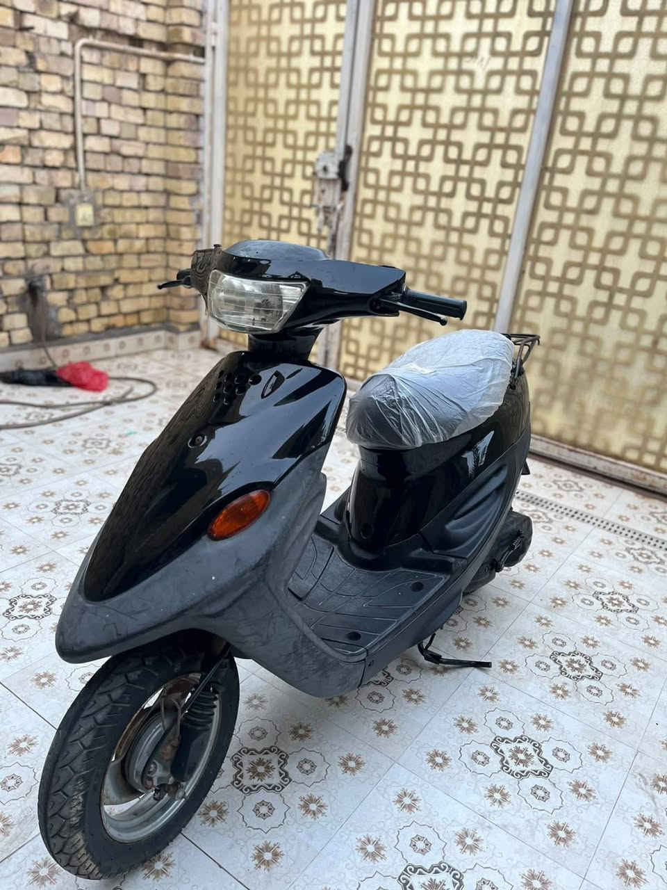 9زورف • شغاله • مجال بسيط