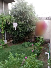 بيت للبيع • ٣٠٠م • غرفتين