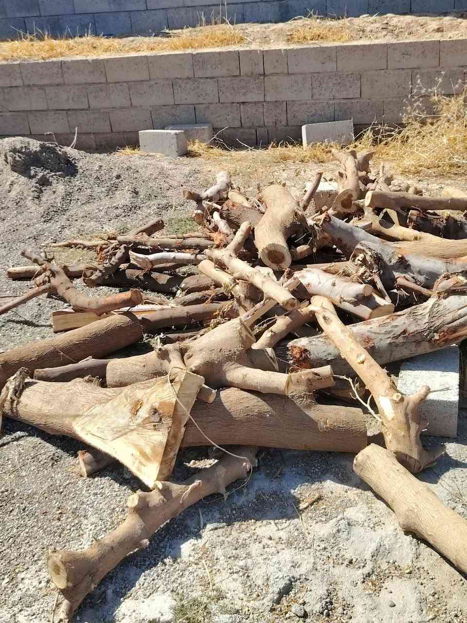 حطب منوع • درجة اولى • السرقاط الايسر