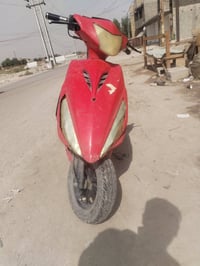 ماكس عدلة • بوشه ٥٥ • معدل تخبل