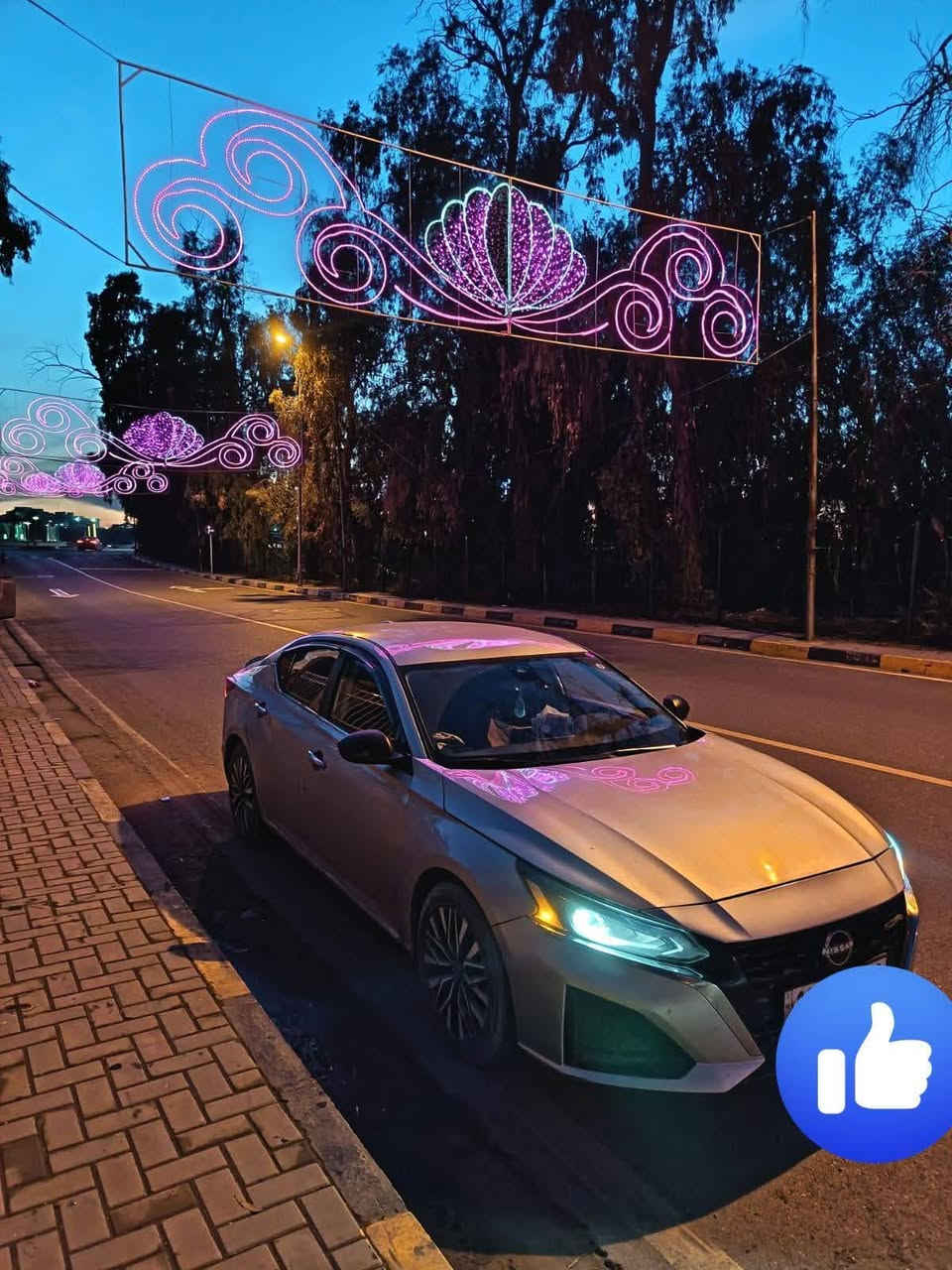 التيما ٢٠٢٤ • ماشيه ٨٢ كيلو • رقم نينوى