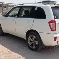 شيري تيجو • مصبوغة • كفالة سنوية