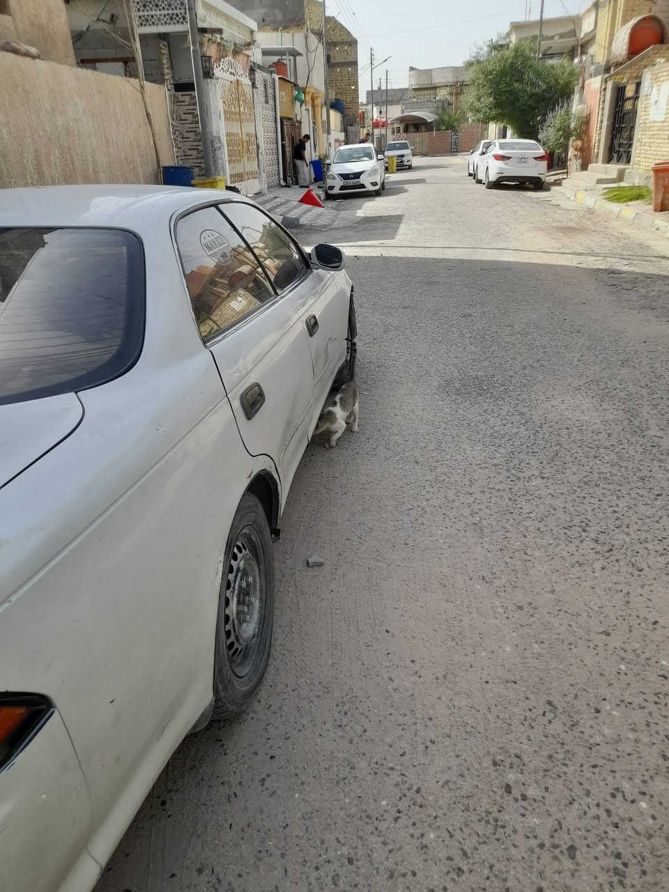 مارك نفخ محرك ٢٥٠٠ راعيهه بالنجف يريد تحويل بيهه نواقص نقل ***********  ٢٥
