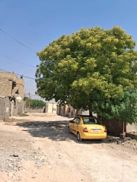 ١٥٠م • بناء جديد • زراعي
