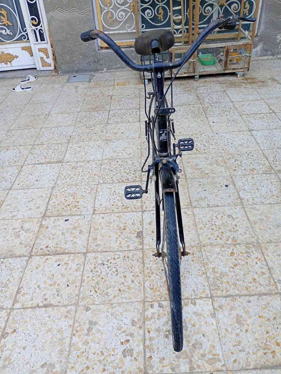 السلام عليكم بايسكل البيع بايسكل نضيف نقصة جاملغ خلفي وصيناية فقط سعرة 65 وبي مجال حك الجية مديل 2015 الاتصال على الرقم التالي *********** والرقم بي واتس اب
