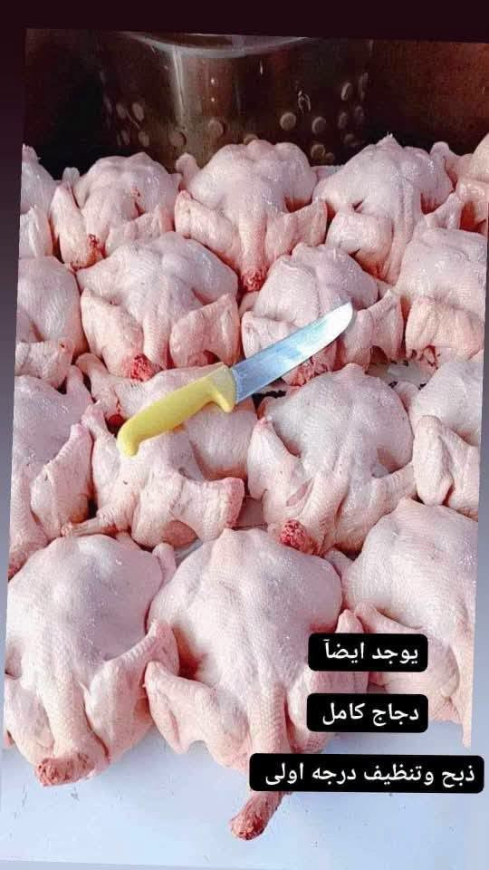 سمك حاسون خشن • ساردين بحري • دجاج طازج