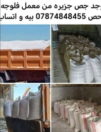 جص • جزيرة • معمل فلوجه