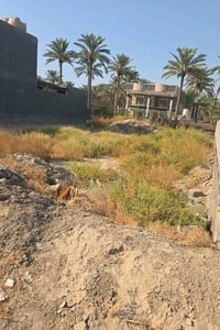 بغداد المحموديه • ٧٠٠م • وجه ٢٨م