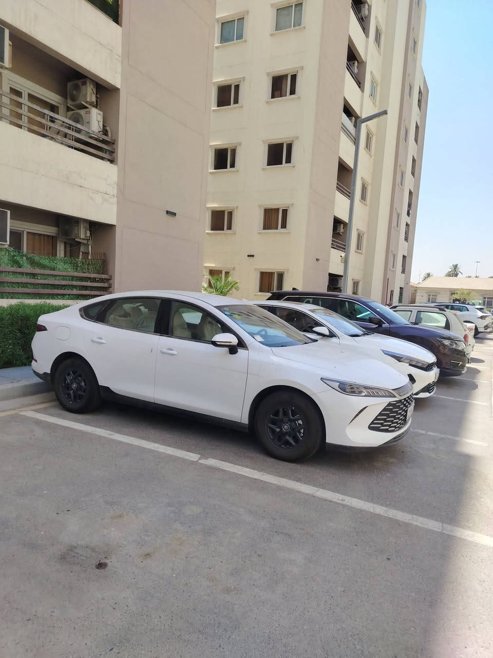 كن بلاص موديل 2025 داخل أبيض زيرو ممشى 820 km
السعر 20 مليون
العنوان مجمع الشعب السكني
***********
