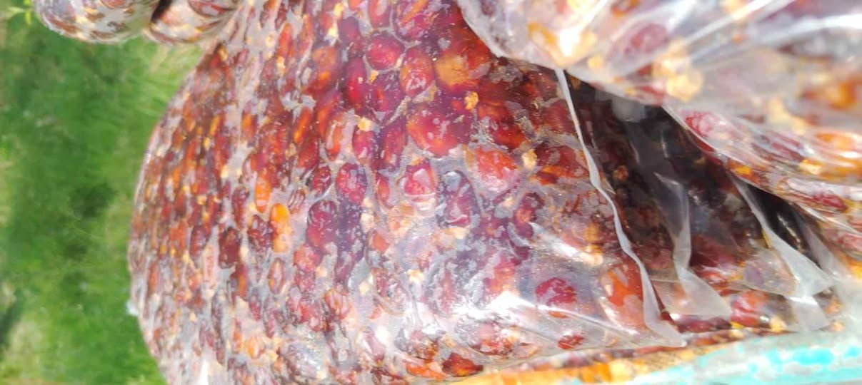 تمر خضراوي • شغل بيت • توصيل ميسان