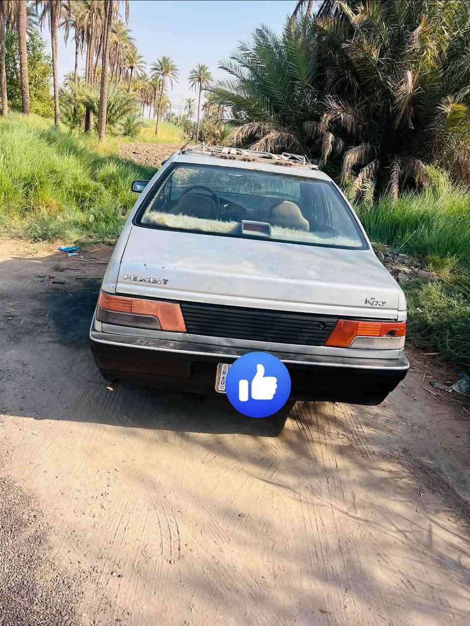 بيجو روى موديل ٢٠٠٩ مكينه وكير مكفولات  تخم تاير حداديه جديد سنويه ساقطه رقم نجف تحويل ثاني يوم 
راعيها موجود مكفوله من الضربه  والصبغ السعر ٢٣ وبيها مجال قليل 
ما متواجد ع الفيس فقط اتصال  ***********
