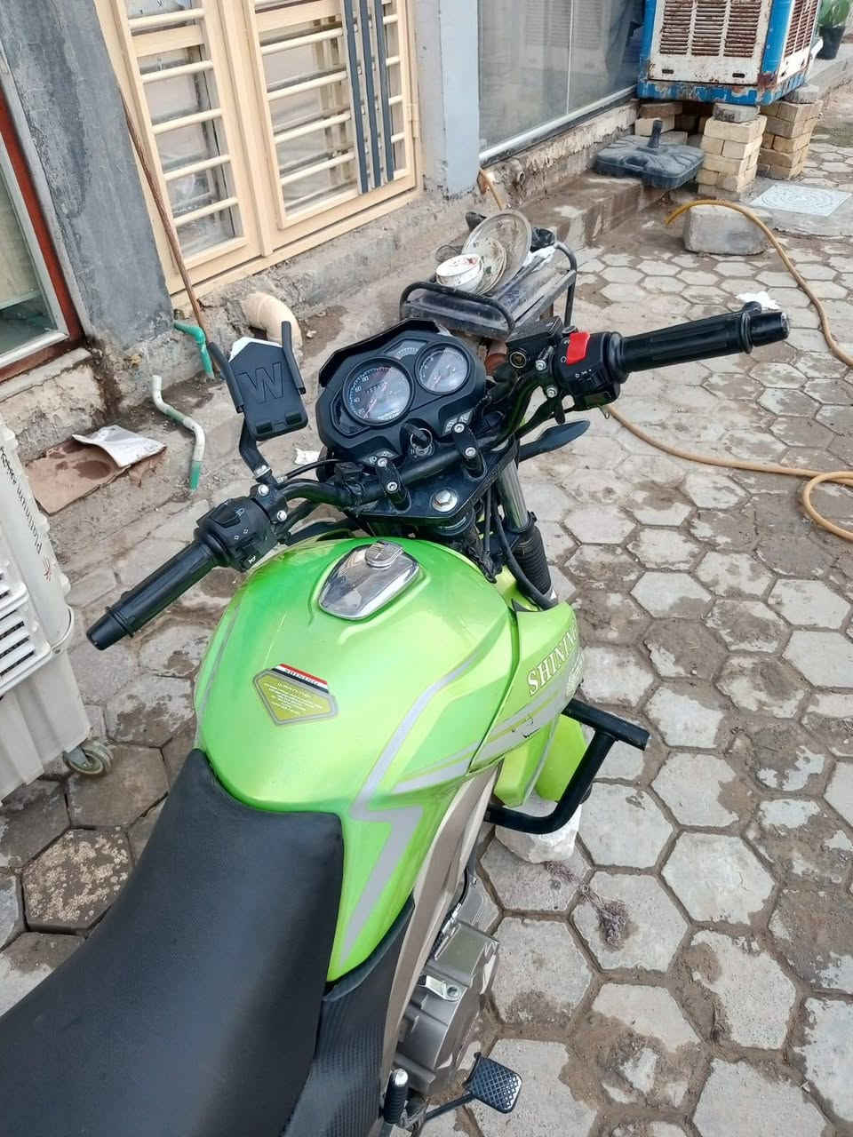 شاينك • ٢٥٠ • ٢٠٢٣