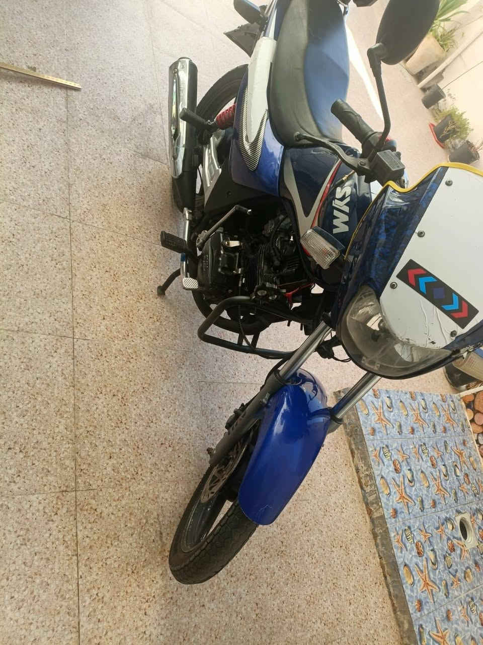ماطور سايم للبيع موديل13 مرقم بس بدون لوحه بأسمي تحويل ثاني يوم الشراي يتصل ما متواجد بالفيس
***********
ماطور سايم للبيع موديل13 مرقم بس بدون لوحه بأسمي تحويل ثاني يوم الشراي يتصل ما متواجد بالفيس
