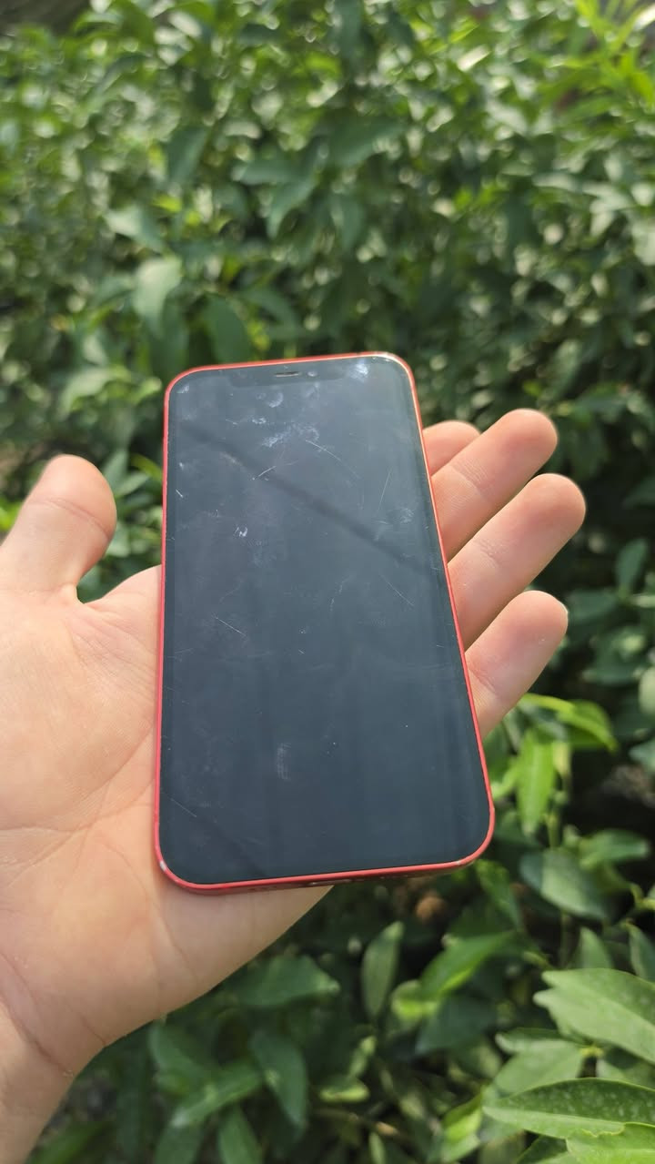ايفون 12 عادي
ما مفتوح شرط ، بطاريه 77%
تك سيم كارت 
ذاكره 64G 
خدوش قليله في الحواف 
سعر 250 الف ومجال  بسيط
موقع : دهوك، دوميز 
رقم تواصل : *********** واتساب فقط
