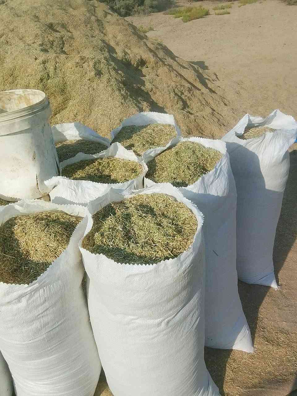 سلام عليكم متاح تبن الجت درجه اولى مكاني بابل الشوملي تريد  معبه  تريد كله ورك ***********
