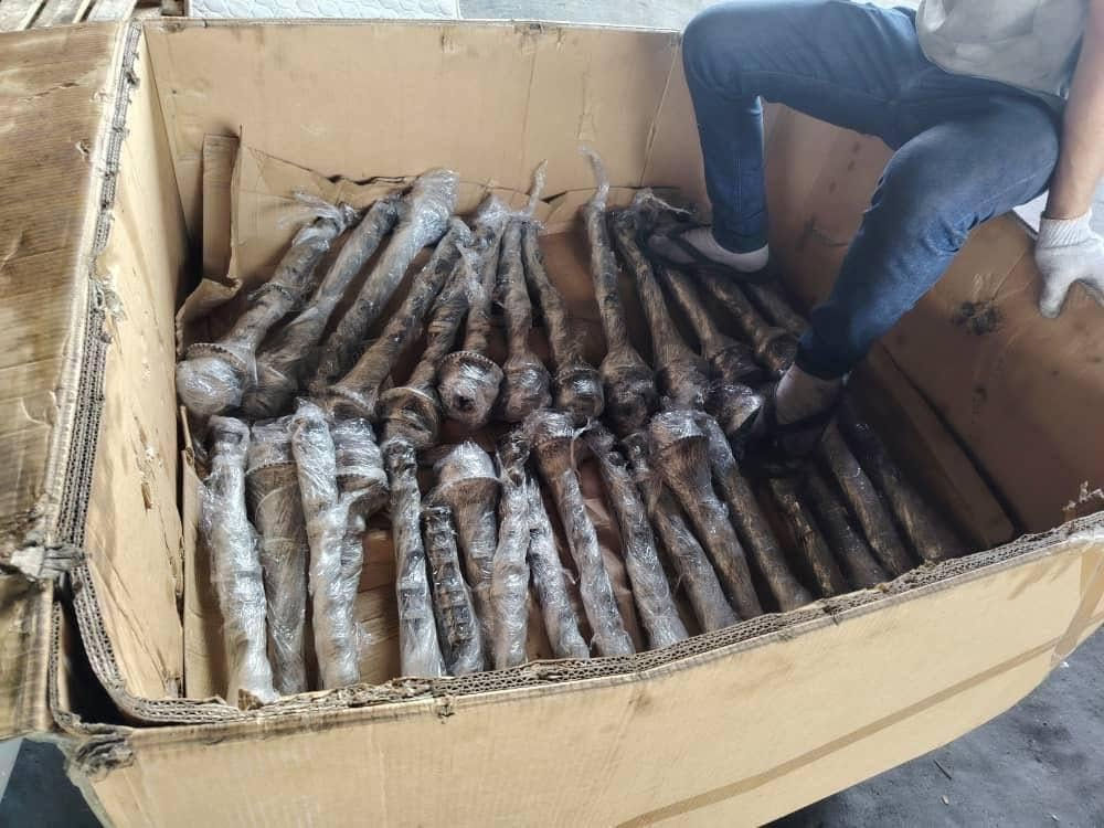 شركة علاء الأسدي لقطع غيار السيارات — كصات ومحركات كورية (وارد أسترالي وأمريكي)لكل أصحاب المحلات، الورش، وسائقي السيارات الذين يبحثون عن المحركات التفصيص ذات الممشى القليل والكفاءة العالية المقترنة بالضمان الحقيقي!✨ خدماتنا المتكاملة:📦 بيع بالجملة: بأسعار تنافسية خاصة تدعم تجارة أصحاب المحلات والورش.🚗 بيع بالمفرد: أنقى وأجود المحركات لسيارتك (النترا G4NB وغيرها) بأسعار مناسبة.📍 العنوان: النجف الأشرف - شارع المطار📞 للحجز والاستفسار عبر الواتساب مباشرة: ***********
