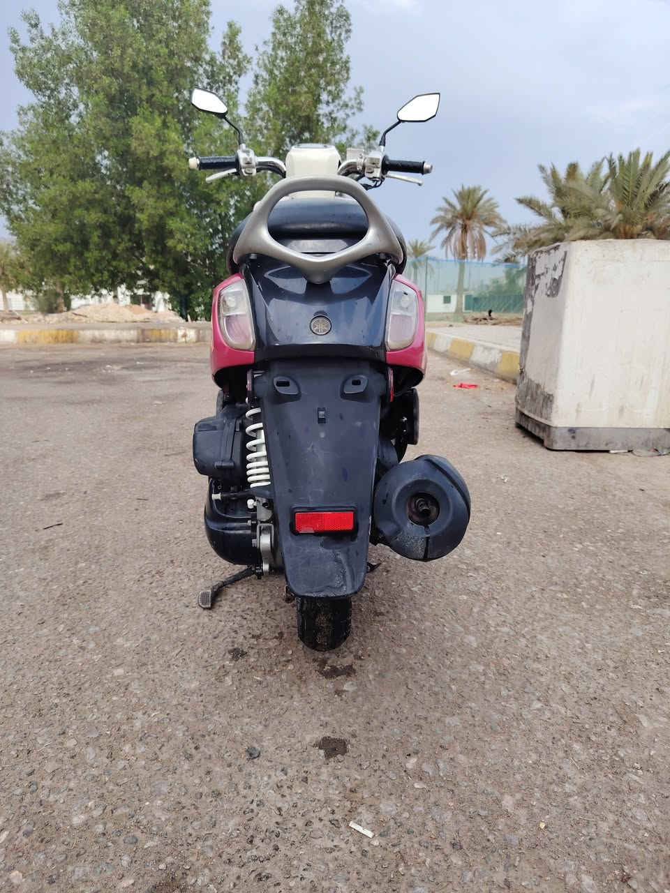 بليسي • موديل ١٤ • مكفوله