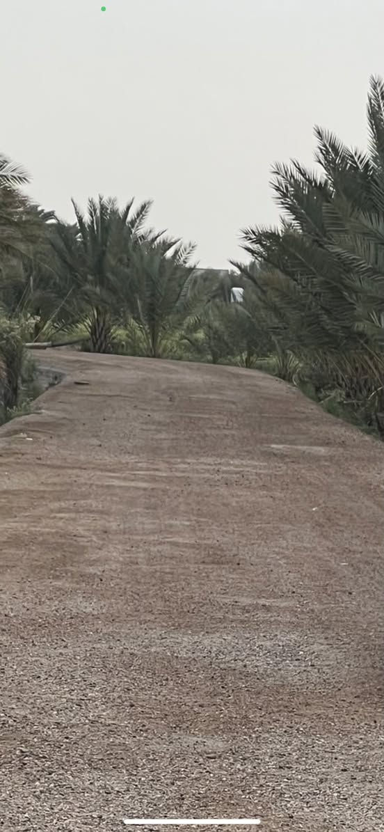 قطعة ارض في زويغير قرب الطاقة الكهربائية
على الشارع مباشر ومن جهة الثانية الاروائي مباشر ايضاً 
محاطة ب124 نخلة حمال 
المساحة ٢ دونم وربع (دونمين وربع)
السعر ٥٠ مليون وبيها مجال بسيط 
للبيع المباشر نظراً لظروف صاحب الارض 
للاتصال ***********
