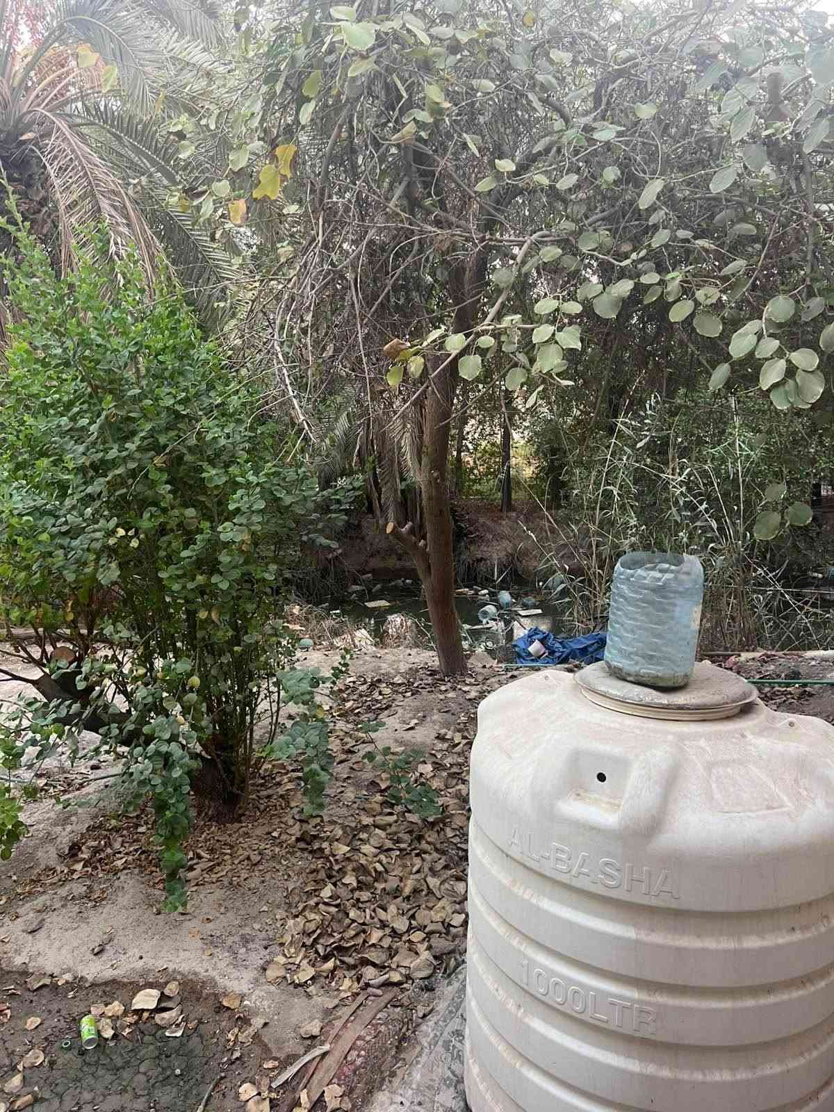 بيت للبيع مساحة 300 متر في ابي الخصيب عويسيان طابو زراعي عراقي صرف وكاله ونسخه من السند 
بيه غرفتين نوم كبار وصالة واستقبال ومطبخ حار بارد وحمامات داخليه خارجيه كراج كبير وحديقة امام المنزل وخلف المنزل مثل ما موضح في الصور البيت كامل ما بيه نقص 
السعر 115 مليون 
للستفسار على الاتصال عل الرقم *********** بيه واتساب او المراسله عل الخاص البصرة, العراق
