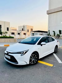 كورلا هايبرد • ٢٠٢٥ • رقم بغداد