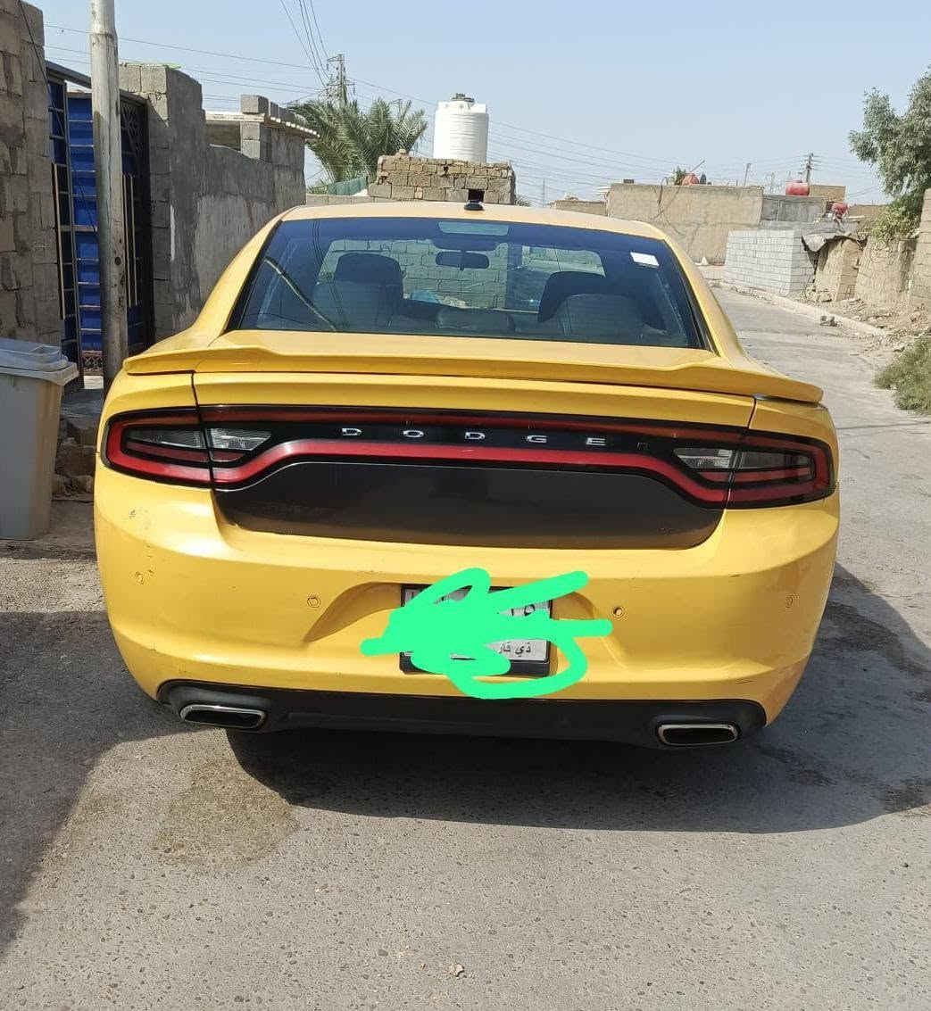 جاجر • موديل ٢٠٢٠ • اصل