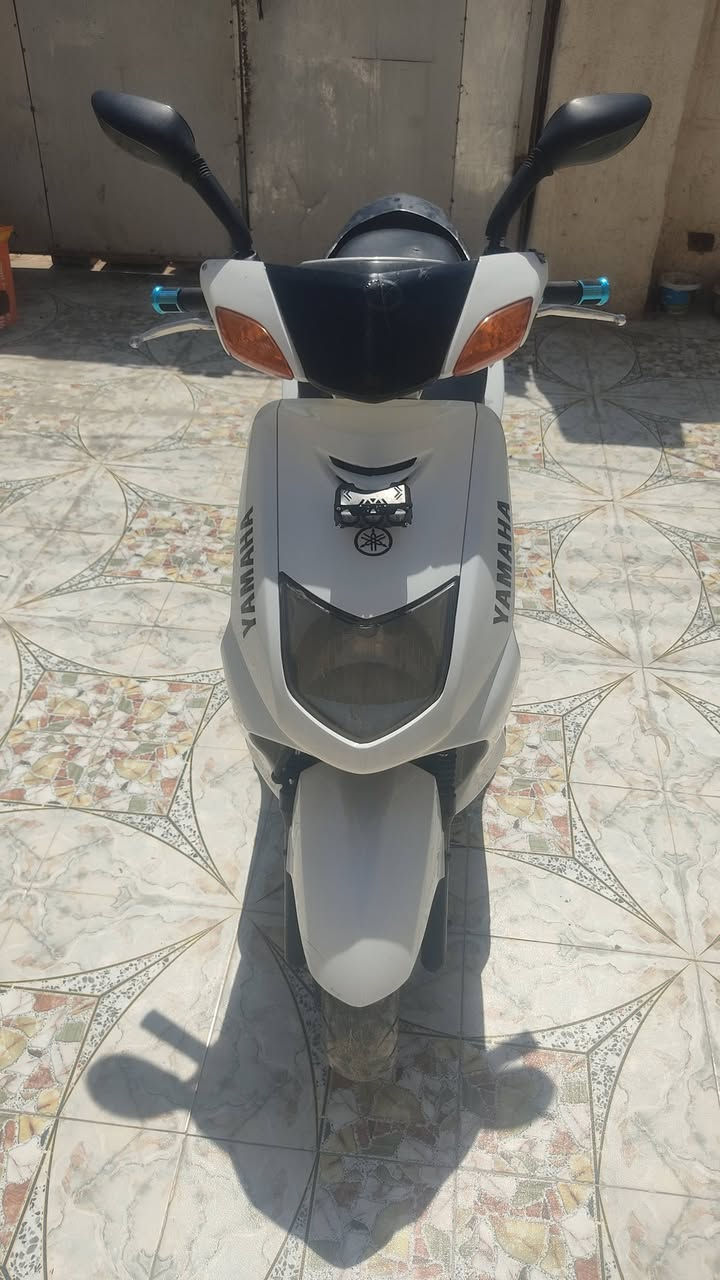 سكنس نثيه • كله شغاله • سلف