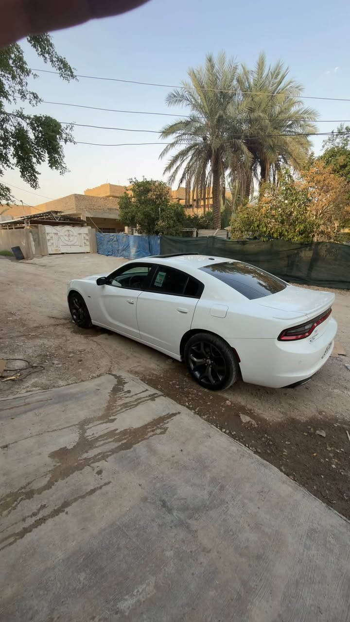 جارجر • ٢٠١٧ • ماشيه ٨٣٠٠٠