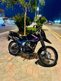 قفاز • فلاحي • ٢٠١٨