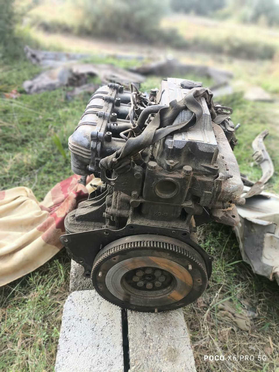 محرك بريجو • تفرعات كاملة • كشنات بريجو