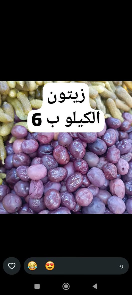 طرشي • توصيل • حجز واتساب