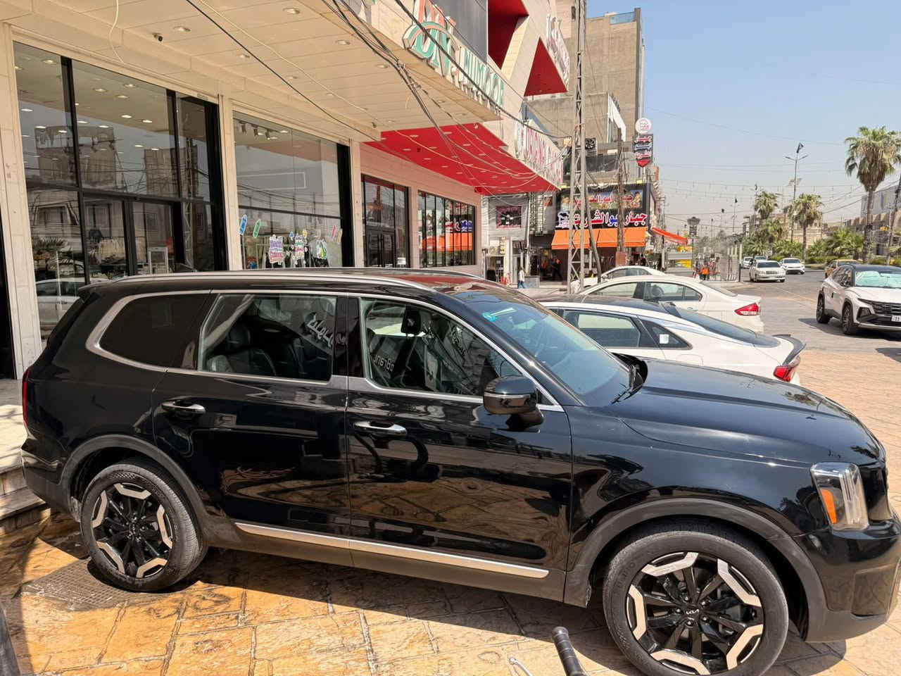 تيلورايد • ٢٠٢٥ • ٧ راكب