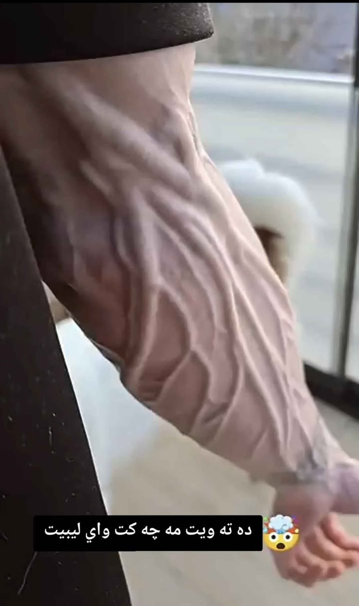 بابه تيكى جياواز كه له بازار دا نيه سيتيكى ئاوا كه له كاني ده گؤريت به پي قوت له ٢٣كيلؤ وه ده ست پي ده كات تاكو ١٥٩كيلؤ ده توانى بيگؤريت كه له كاني كامل ئاسنه فول كواليتيه به تاك و كؤ به ر ده سته هه ر كه س ويستي نامه بنيريت ////***********///***********/// أربيل, العراق
