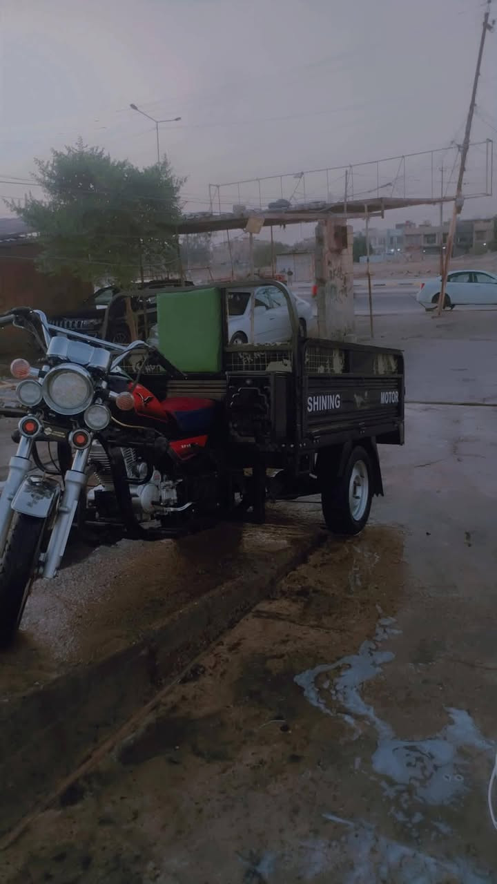 ستوته • صقر • ٢٠٢٥