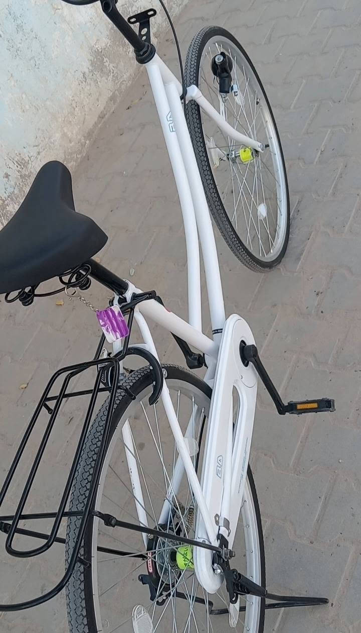 باسكل BD • مديل 22 • نجف الميلاد