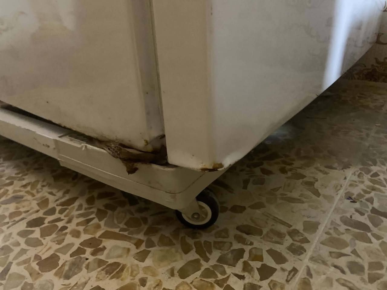 ثلاجه الوطنية اخت الزيرو
تجميد شرط حجم كبير مستعمله قليل جدا 
بيها طخه خفيفه من جوا موضحه بالصور 
السعر ٤٥٠ وبيها مجال 
***********
