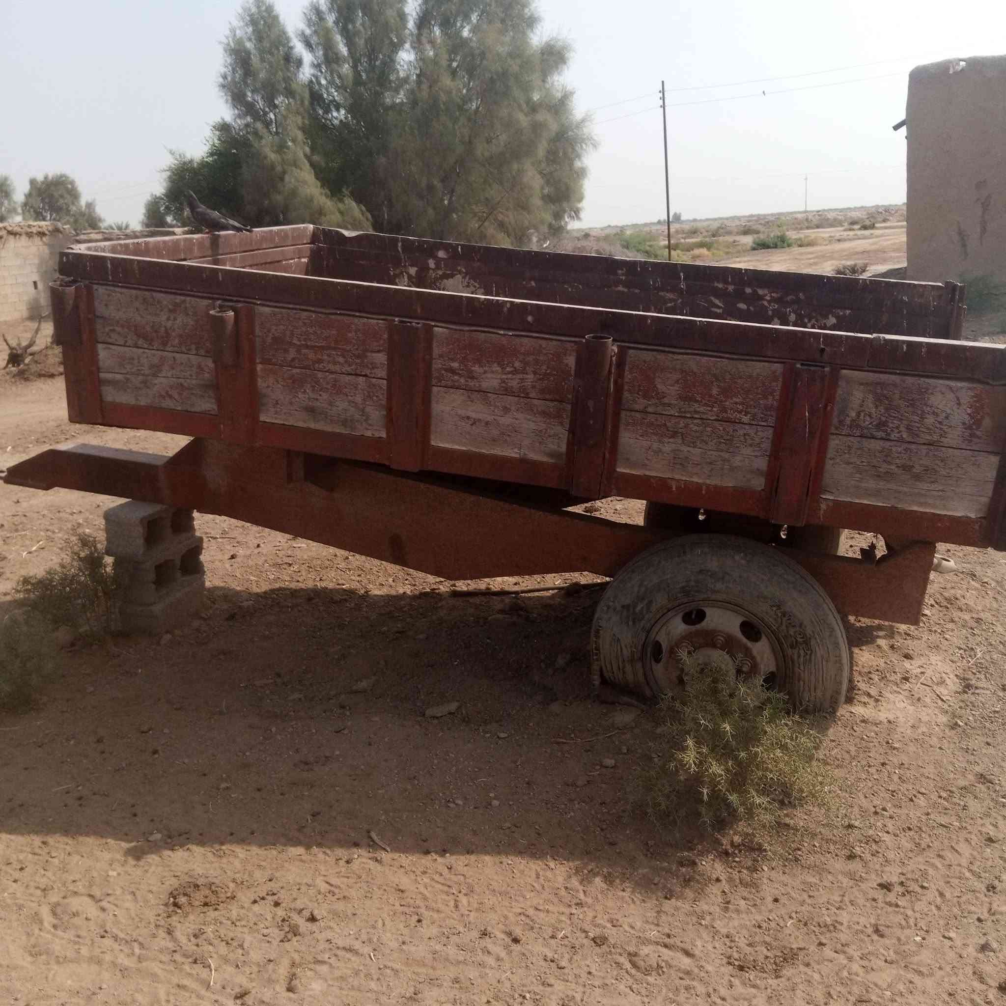 نضيفه • لا لحيم • ناصريه