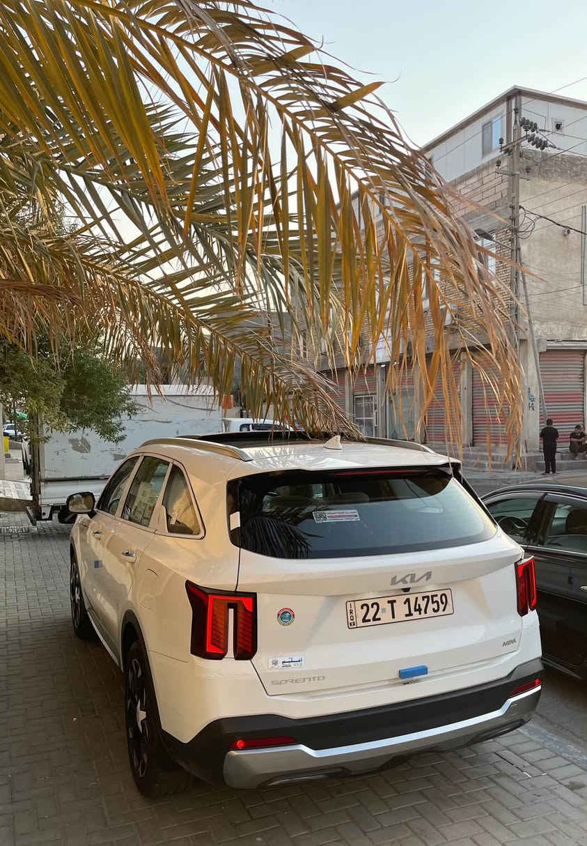 سورنتو 2025خليحي بانوراما فول رقم أربيل كفاله من زلغ لد نهاري ويل 20 حيل جديده ع وضع شركة كير ماوس 6 سلندر كشنات كهرباء باب خلفي كهرباء ماشيه 19 الف بيه سونار موضح بالصور مكان بصرة شراي يتصل *********** لبيع او مراوس
