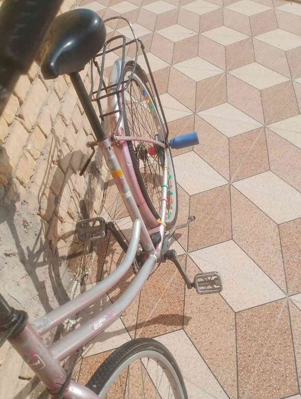 السلام عليكم باسكل 🚲 للبيع سعر خاص الرقم ***********
