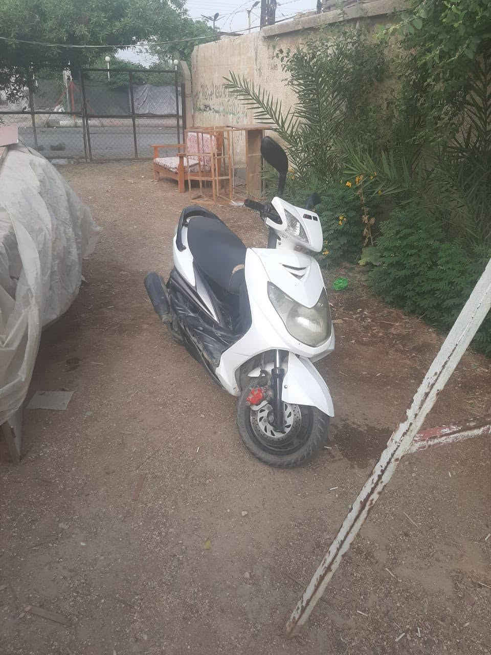 سگنس • نضيفه • محرك مامفتوح