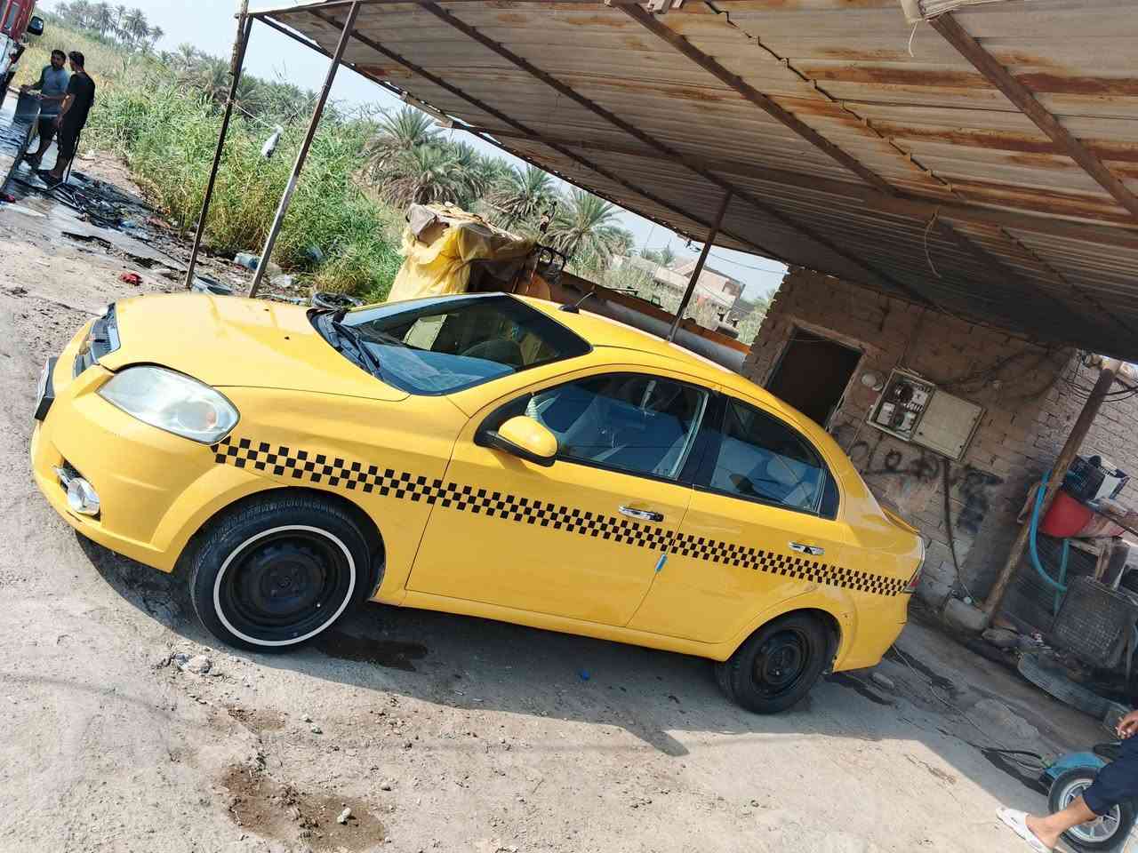 افيو • ٢٠٠٩ • بابل