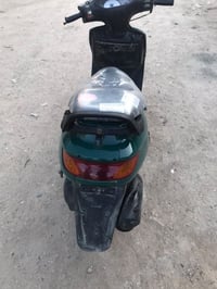 فراشه • فحل • بابل
