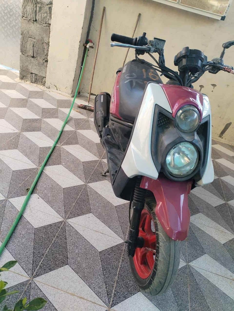 سكنس جبلي • رمبه • مكينه فول