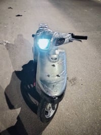 بطة • معدل • نظيف
