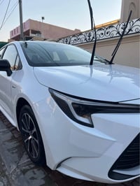 كورلا • ٢٠٢٤ • كركوك