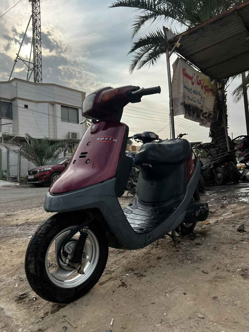 بطة • حاوية • ٦٠