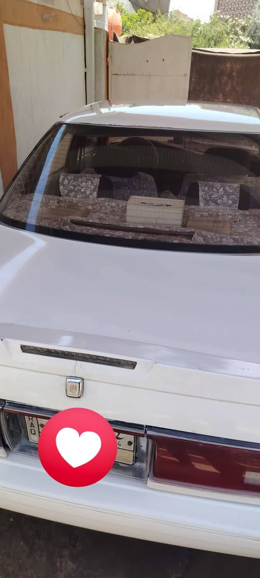 سلام عليكم مارك عظم موديل 1991 رقم بابل مكفوله من كص ونقل جثه مداور ثاني يوم سيارة نضيفه مال جناي مكينه وكير ونجي حداديه فول مكانها الديوانية الشاميه سعر سيارة 45وبيها مجال
 تفاصيل ***********
