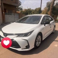 قفل ١٣٩ • ٢٠٢٤ • داخلية جلد
