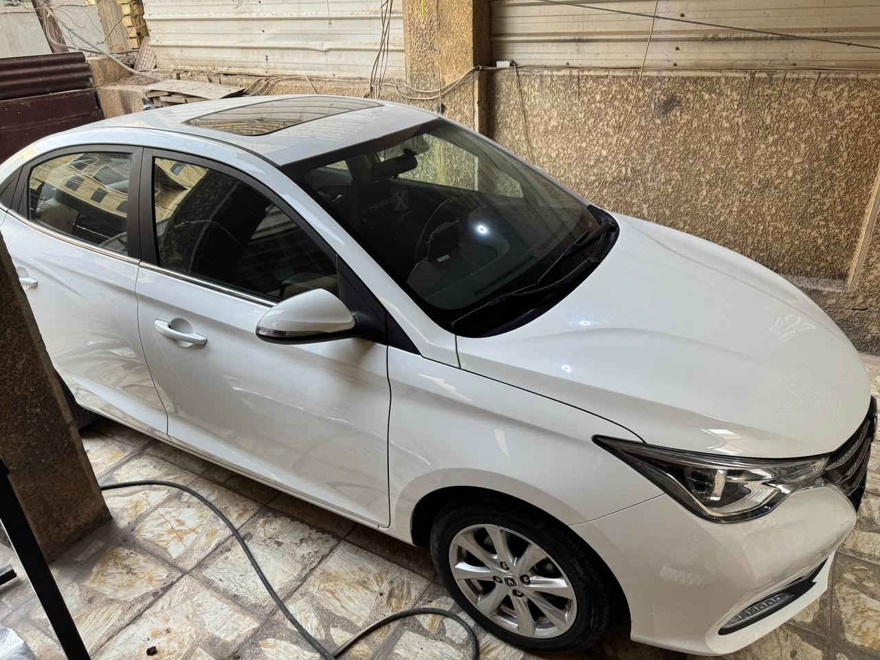 شانجان • ٢٠٢٥ • رقم اربيل